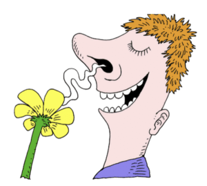 Can you Trademark A Smell?